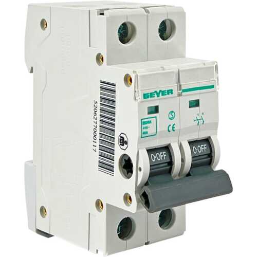 Διακόπτης ράγας 2P 40A