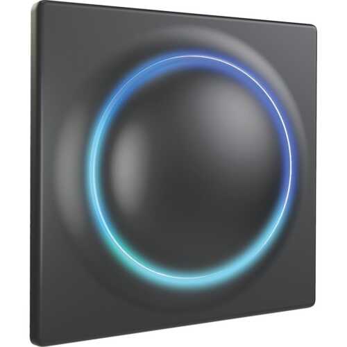 FIBARO Διακόπτης (Ανθρακί) - Σειρά Walli