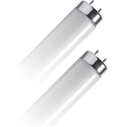 Λάμπα Φθορίου T8 30W G13 6500K