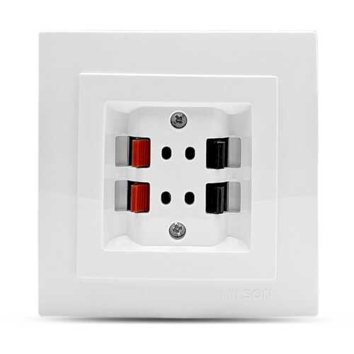 Λευκή πρίζα ηχείων