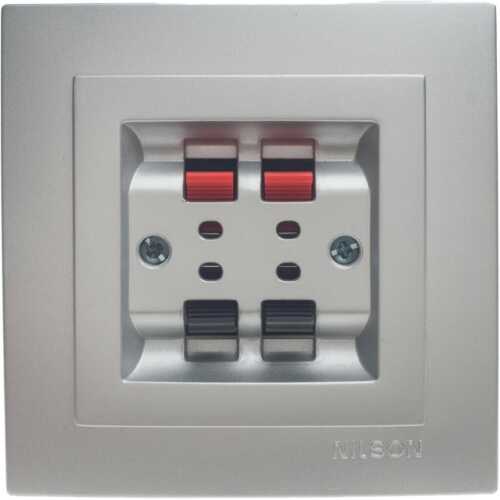 Ασημί πρίζα ηχείων