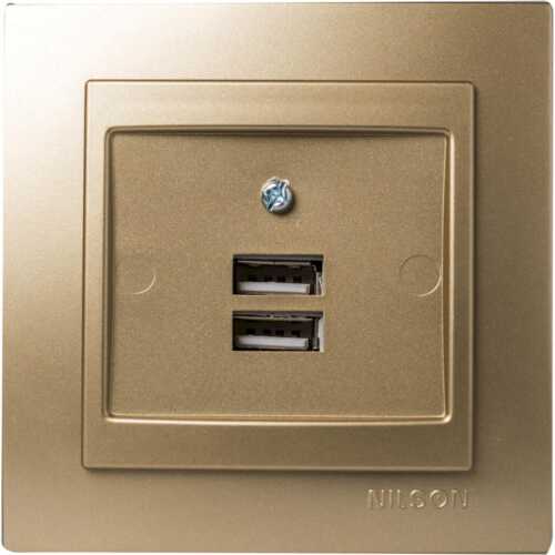 Σατινέ πρίζα USB διπλή