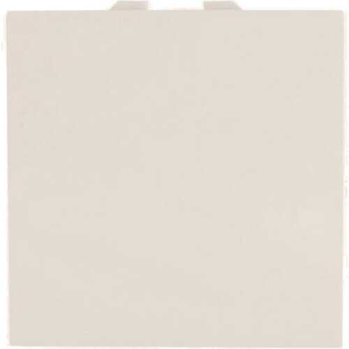 Μεσαίος Α/Ρ 2 θέσεων Ιβουάρ 10ΑΧ 250V