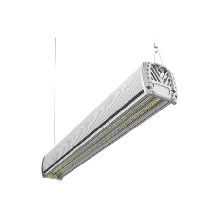 fotistiko-grammiko-cat